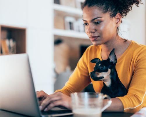 a person sitting at a table using a laptop