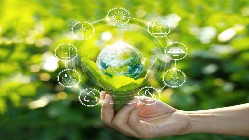 Sustainability efforts across the business lifecycle